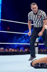 WWE - Smackdown Digitals 08/13/2015