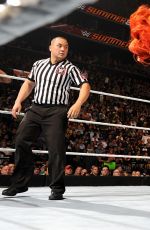 WWE - Summerslam 2015 Digitals