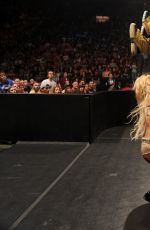 WWE - Summerslam 2015 Digitals