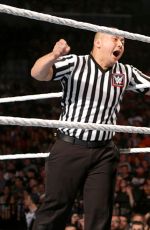 WWE - Summerslam 2015 Digitals