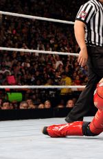 WWE - Summerslam 2015 Digitals