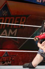 WWE - Summerslam 2015 Digitals