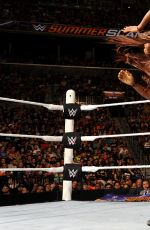 WWE - Summerslam 2015 Digitals
