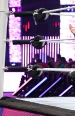 WWE - Summerslam 2015 Digitals