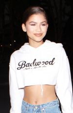 ZENDAYA Arrives at Taylor Swift