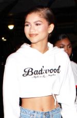 ZENDAYA Arrives at Taylor Swift