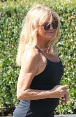 GOLDIE HAWN in Tights Out for a Walk in Brentwood