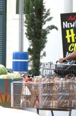 HHALLE BERRY Shopping at Local Supermarket in Beverly Hills 09/04/2015