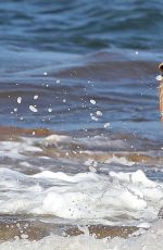 HILARY DUFF in Bikini at a Beach in Hawaii 09/04/2015