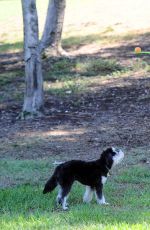 JAMIE CHUNG with Her Dog at a Park in British Columbia 09/30/2015