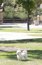 KALEY CUOCO Walks Her Dog Out at a Park in Los Angeles 09/27/2015