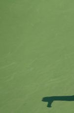 LUCIE SAFAROVA at 1st Round of US Open in New York 08/31/2015
