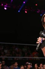 WWE - iMPACT Digitals 09/02/2015