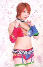 WWE - New NXT Diva ASUKA (Kana)