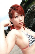 WWE - New NXT Diva ASUKA (Kana)