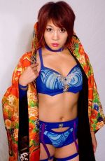 WWE - New NXT Diva ASUKA (Kana)