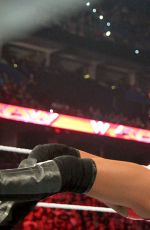 WWE -  Raw Digitals 08/31/2015