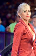 WWE - Raw Digitals 09/07/2015