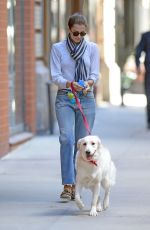 ALLISON WILLIAMS Walks Her Dog Out in New York 10/05/2015