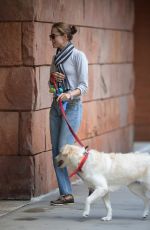 ALLISON WILLIAMS Walks Her Dog Out in New York 10/05/2015