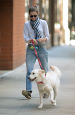 ALLISON WILLIAMS Walks Her Dog Out in New York 10/05/2015
