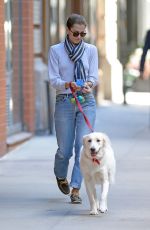 ALLISON WILLIAMS Walks Her Dog Out in New York 10/05/2015