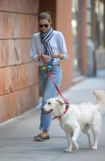 ALLISON WILLIAMS Walks Her Dog Out in New York 10/05/2015