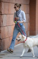 ALLISON WILLIAMS Walks Her Dog Out in New York 10/05/2015