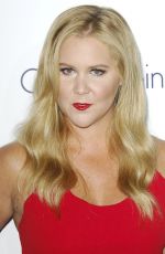 AMY SCHUMER at 2015 Elle Women in Hollywood Awards in Los Angeles 10/19/2015