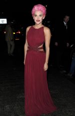 ASHLEY ROBERTS at Daily Mirror & RSPCA Animal Hero Awards in London 10/21/2015