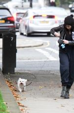 DAISY LOWE Walk with Her Dog Out in Primrose Hill 10/16/2015
