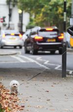 DAISY LOWE Walk with Her Dog Out in Primrose Hill 10/16/2015