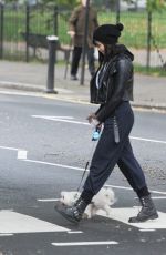 DAISY LOWE Walk with Her Dog Out in Primrose Hill 10/16/2015