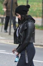 DAISY LOWE Walk with Her Dog Out in Primrose Hill 10/16/2015