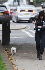 DAISY LOWE Walk with Her Dog Out in Primrose Hill 10/16/2015