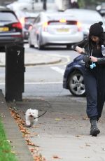 DAISY LOWE Walk with Her Dog Out in Primrose Hill 10/16/2015