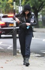 DAISY LOWE Walk with Her Dog Out in Primrose Hill 10/16/2015