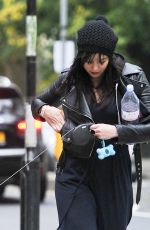 DAISY LOWE Walk with Her Dog Out in Primrose Hill 10/16/2015