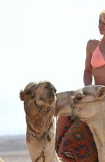 DANIELLA WESTBROOK in Bikini Riding a Camel in Egypt
