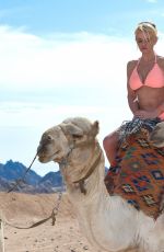 DANIELLA WESTBROOK in Bikini Riding a Camel in Egypt