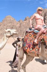 DANIELLA WESTBROOK in Bikini Riding a Camel in Egypt