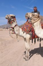 DANIELLA WESTBROOK in Bikini Riding a Camel in Egypt