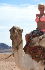 DANIELLA WESTBROOK in Bikini Riding a Camel in Egypt