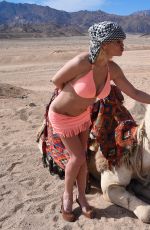 DANIELLA WESTBROOK in Bikini Riding a Camel in Egypt