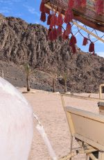 DANIELLA WESTBROOK in Bikini Riding a Camel in Egypt