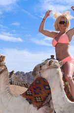 DANIELLA WESTBROOK in Bikini Riding a Camel in Egypt