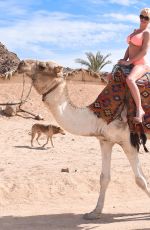 DANIELLA WESTBROOK in Bikini Riding a Camel in Egypt