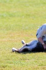 HILARY DUFF Playing with Dogs at a Park in New York 10/11/2015
