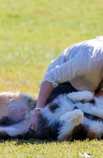 HILARY DUFF Playing with Dogs at a Park in New York 10/11/2015