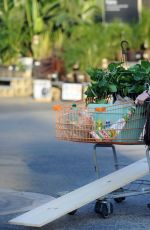 ASHLEY GREENE Out Shopping at Home Depot in Burbank 10/18/2015